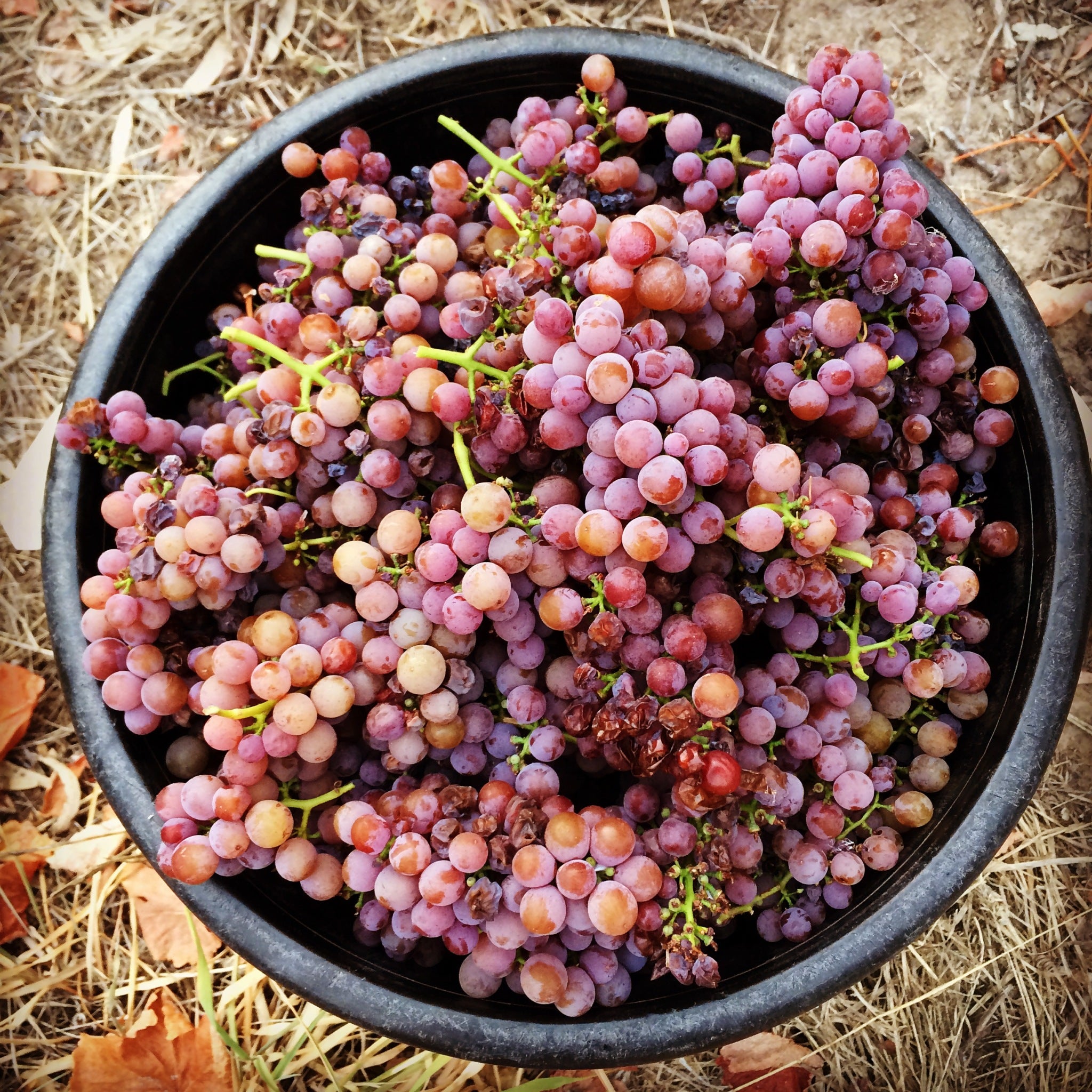 ‘It Is What It Is’