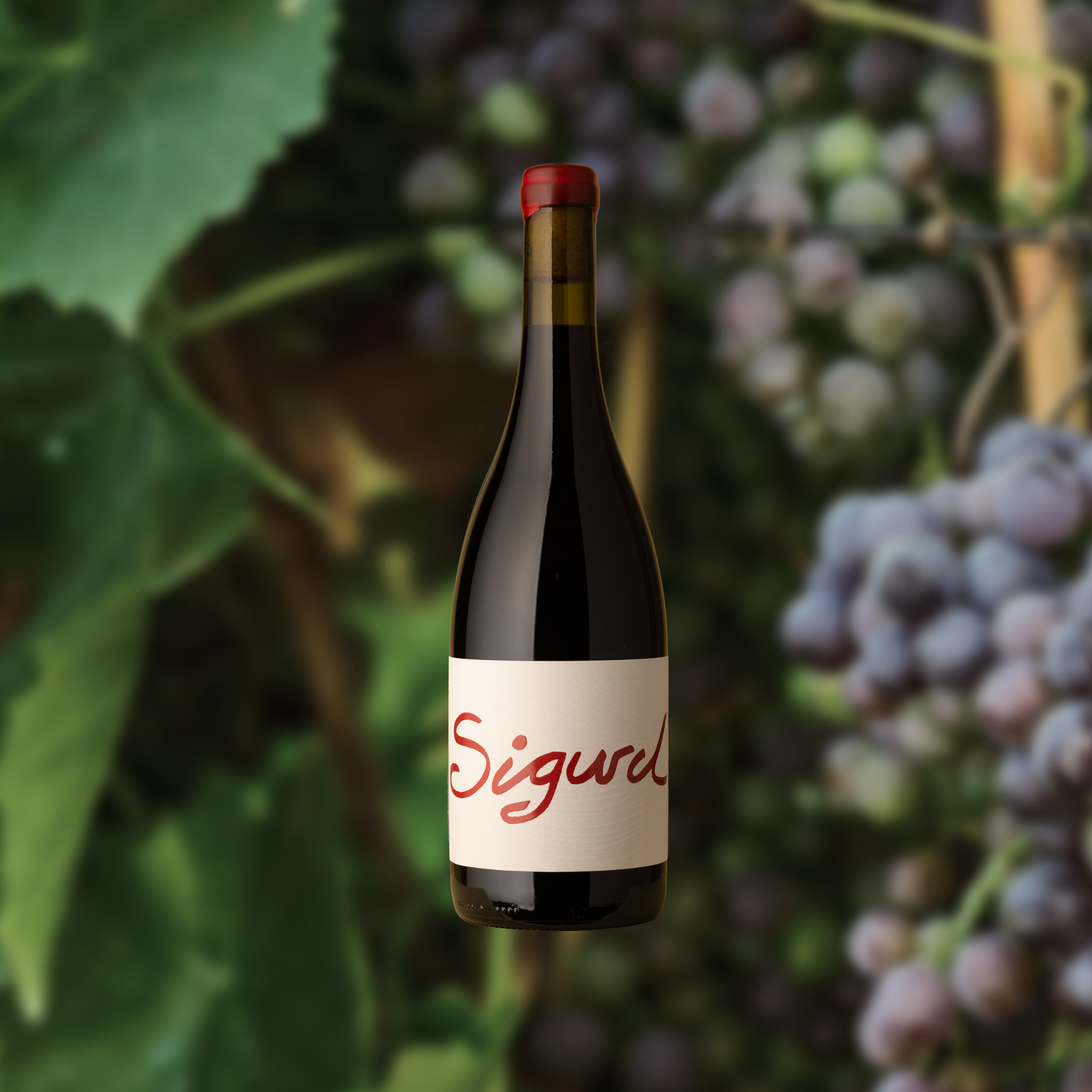 Sigurd 2023 Red Blend