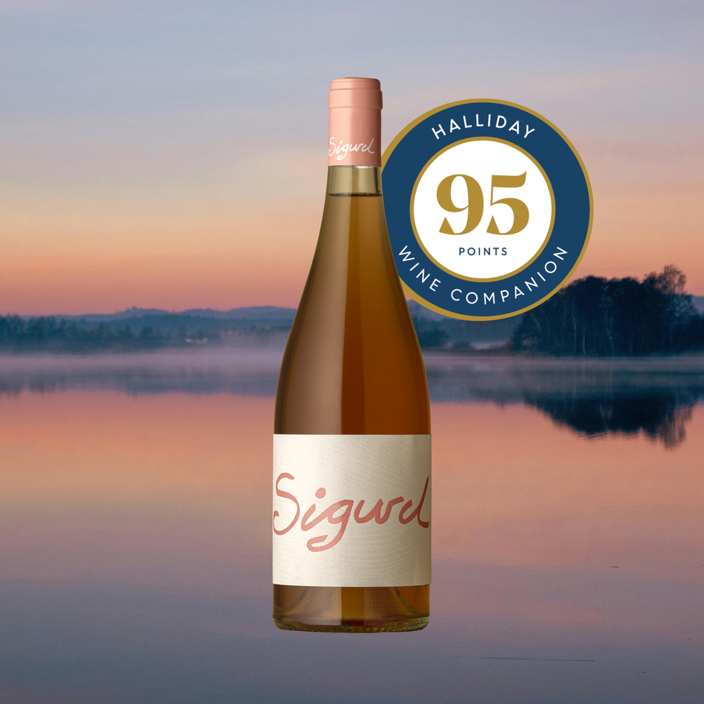 2024 Sigurd 'Endless Sommer' Rose