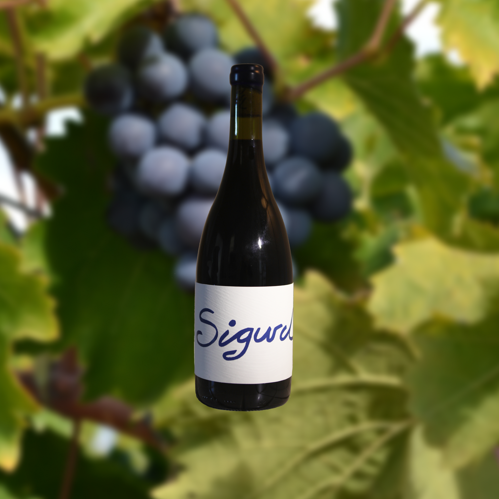2022 Carignan