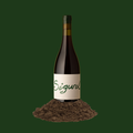 Wine bottle labeled 'Sigurd' on a bed of sand with a green background