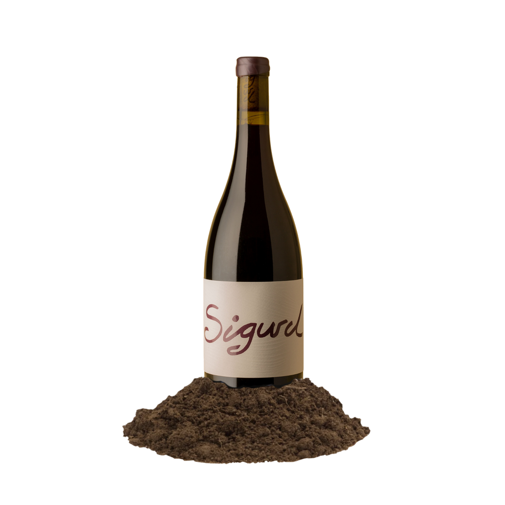 Sigurd Syrah Barossa soil