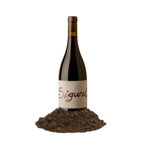 Sigurd Syrah Barossa soil