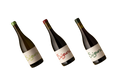 Three wine bottles with 'Sigurd' branding on a white background
