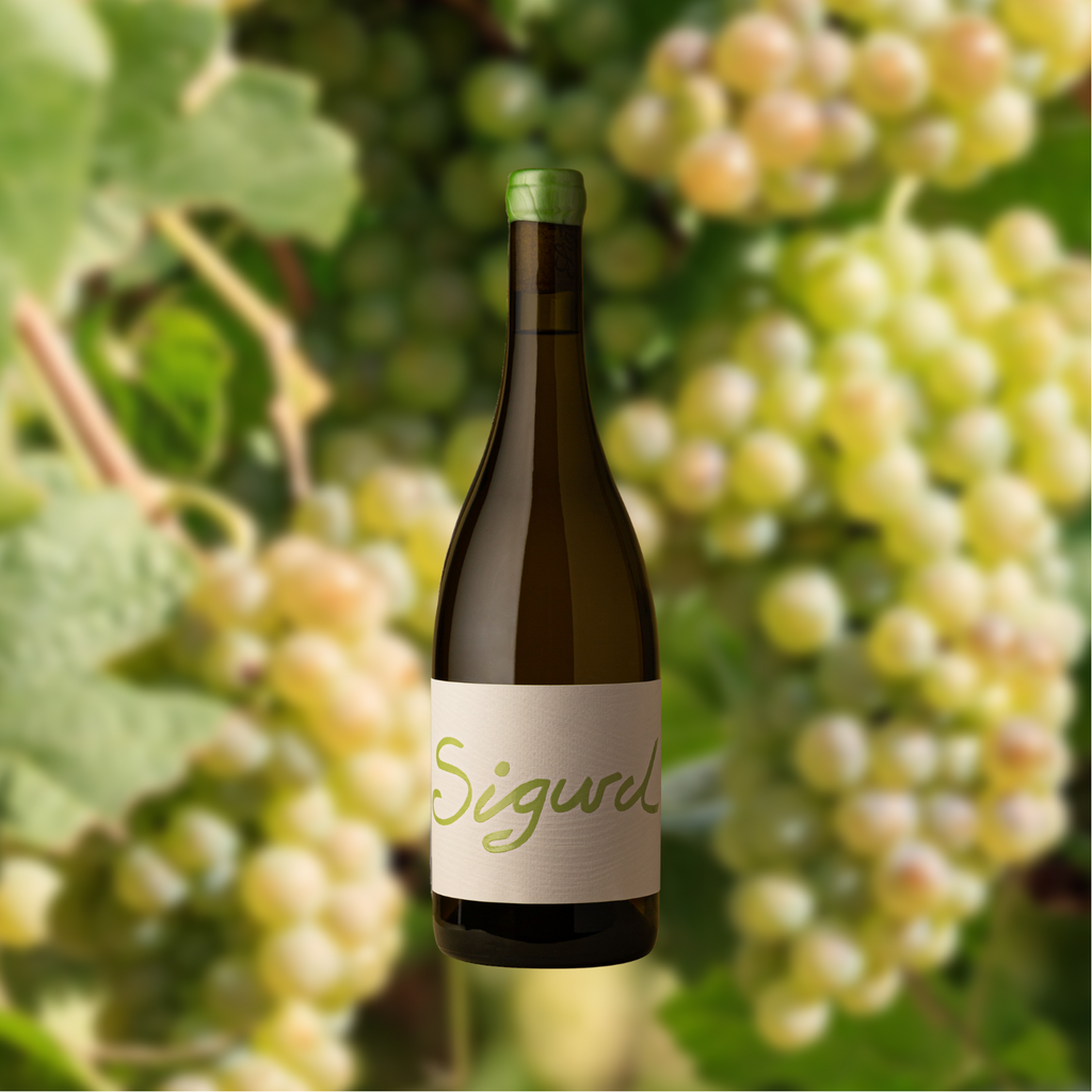 2023 Chenin Blanc - SOLD OUT