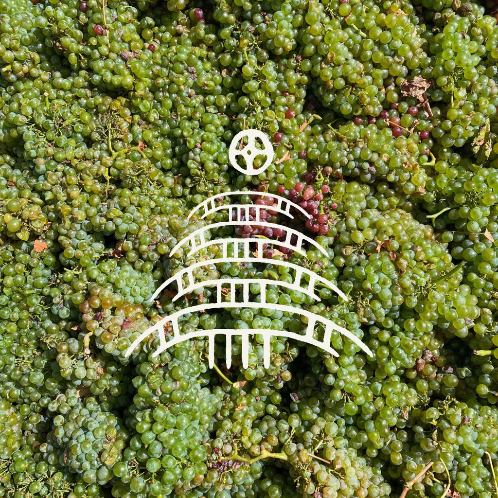 Sigurd December Dozen Barossa Valley natural wine pack christmas tree