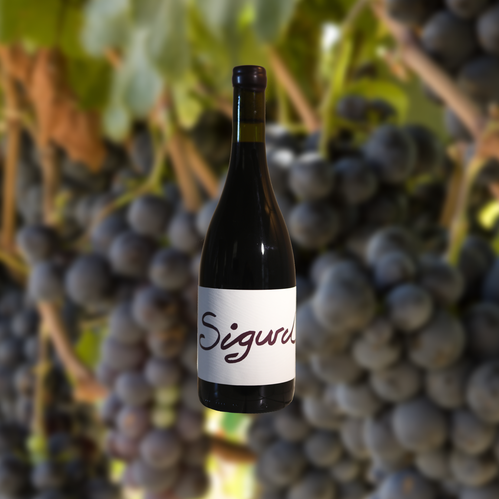 2021 Syrah - SOLD OUT