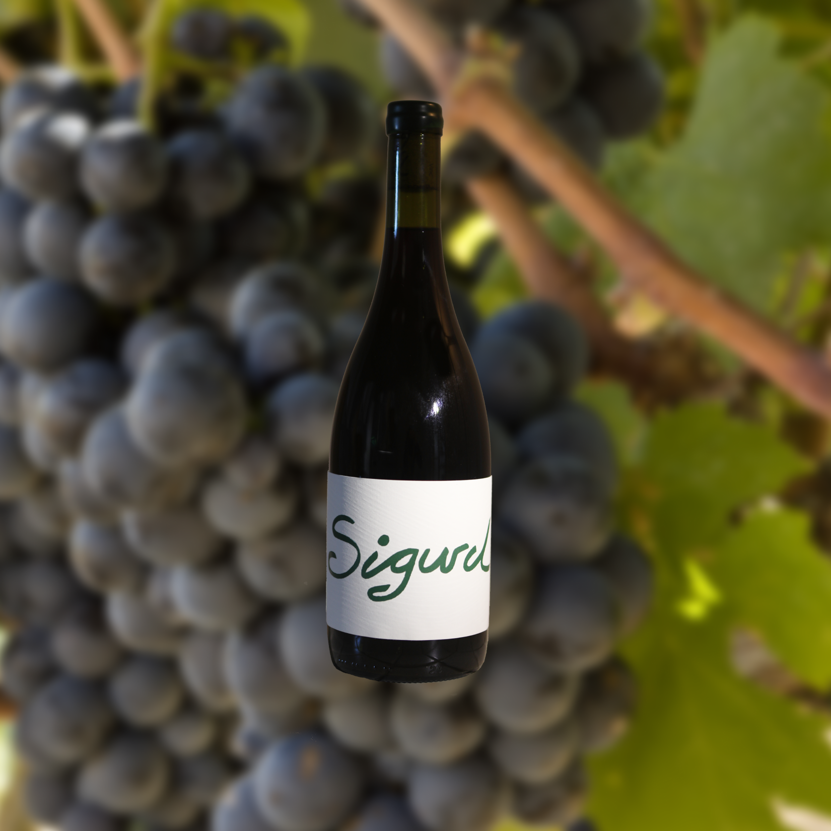 2021 Grenache - SOLD OUT