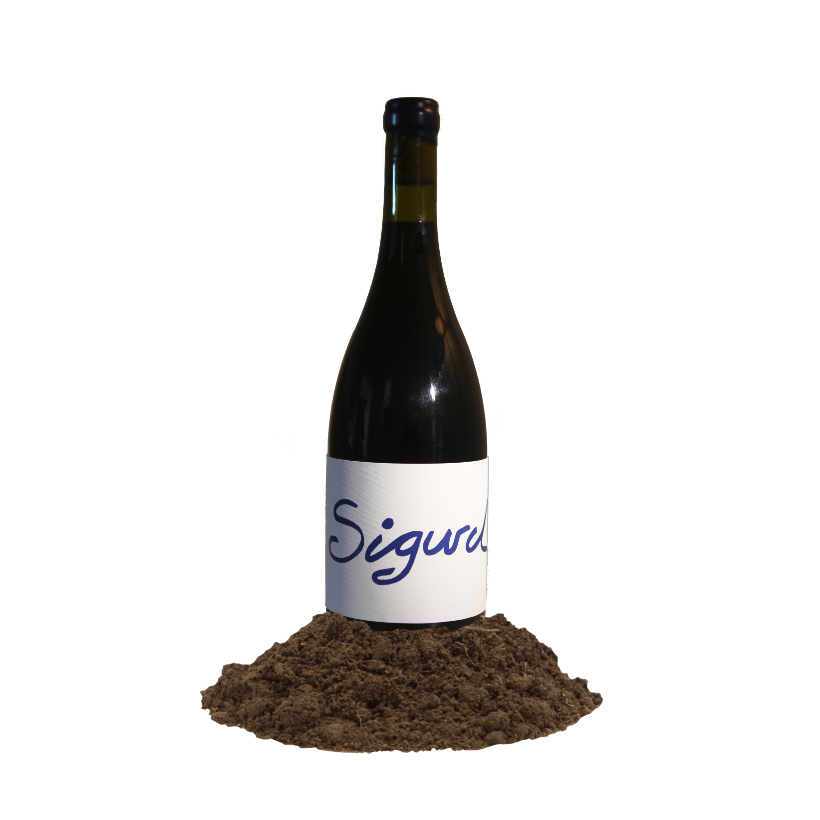 2021 Carignan - SOLD OUT