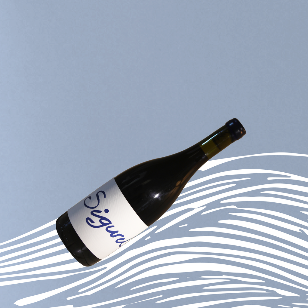 2021 Carignan - SOLD OUT