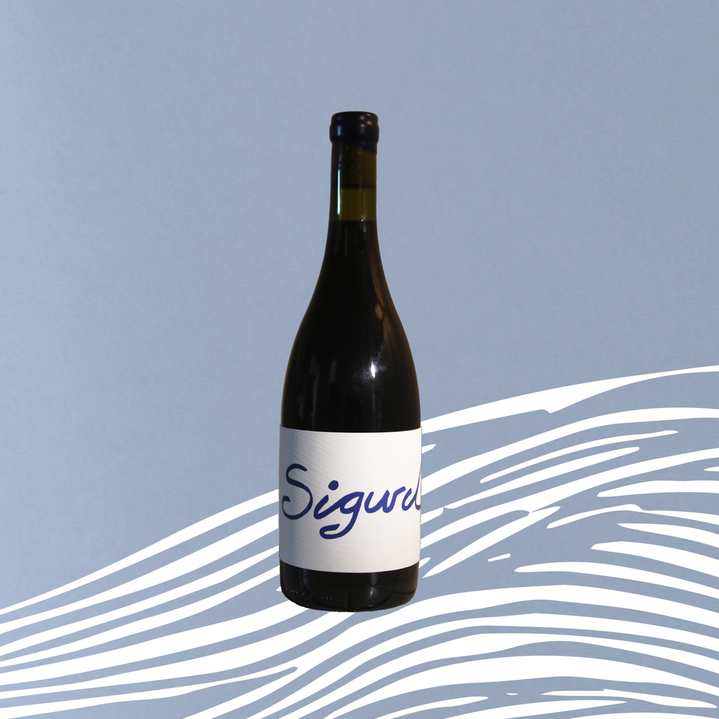 2021 Carignan - SOLD OUT