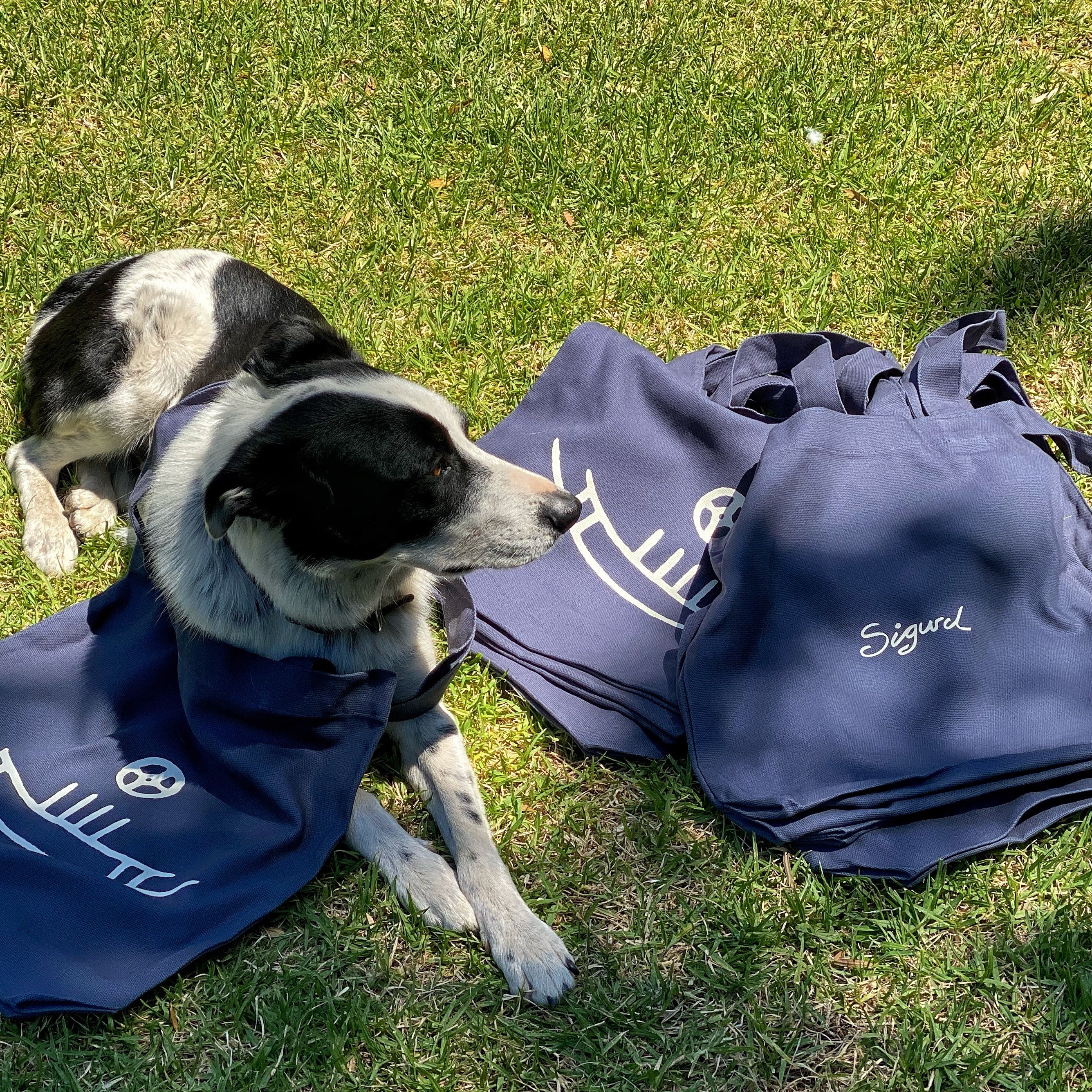 Sigurd tote bag - sold out