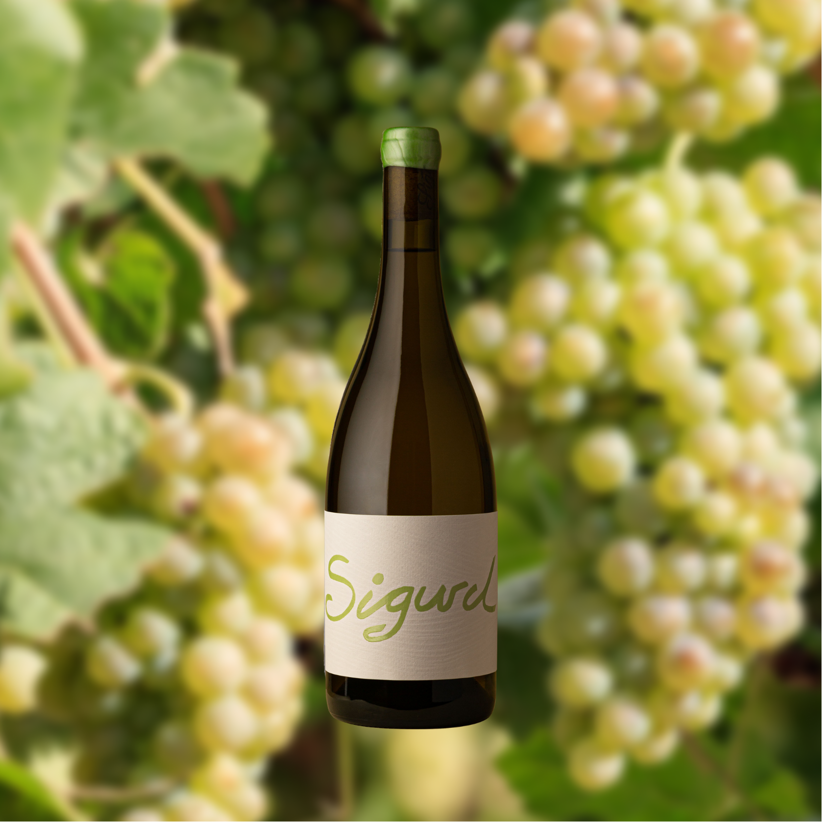 2022 Chenin Blanc - sold out