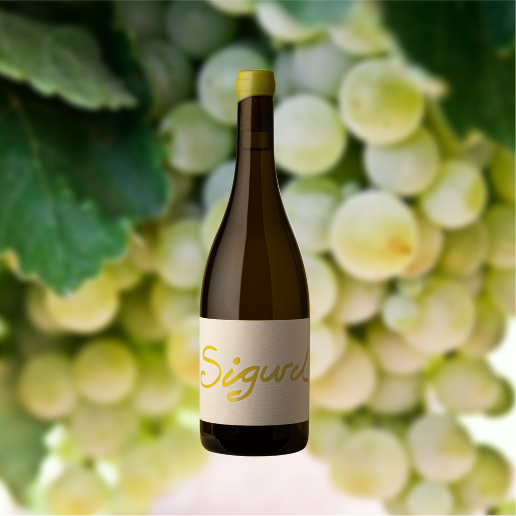 bottles of yellow Sigurd White Blend with grapes Barossa