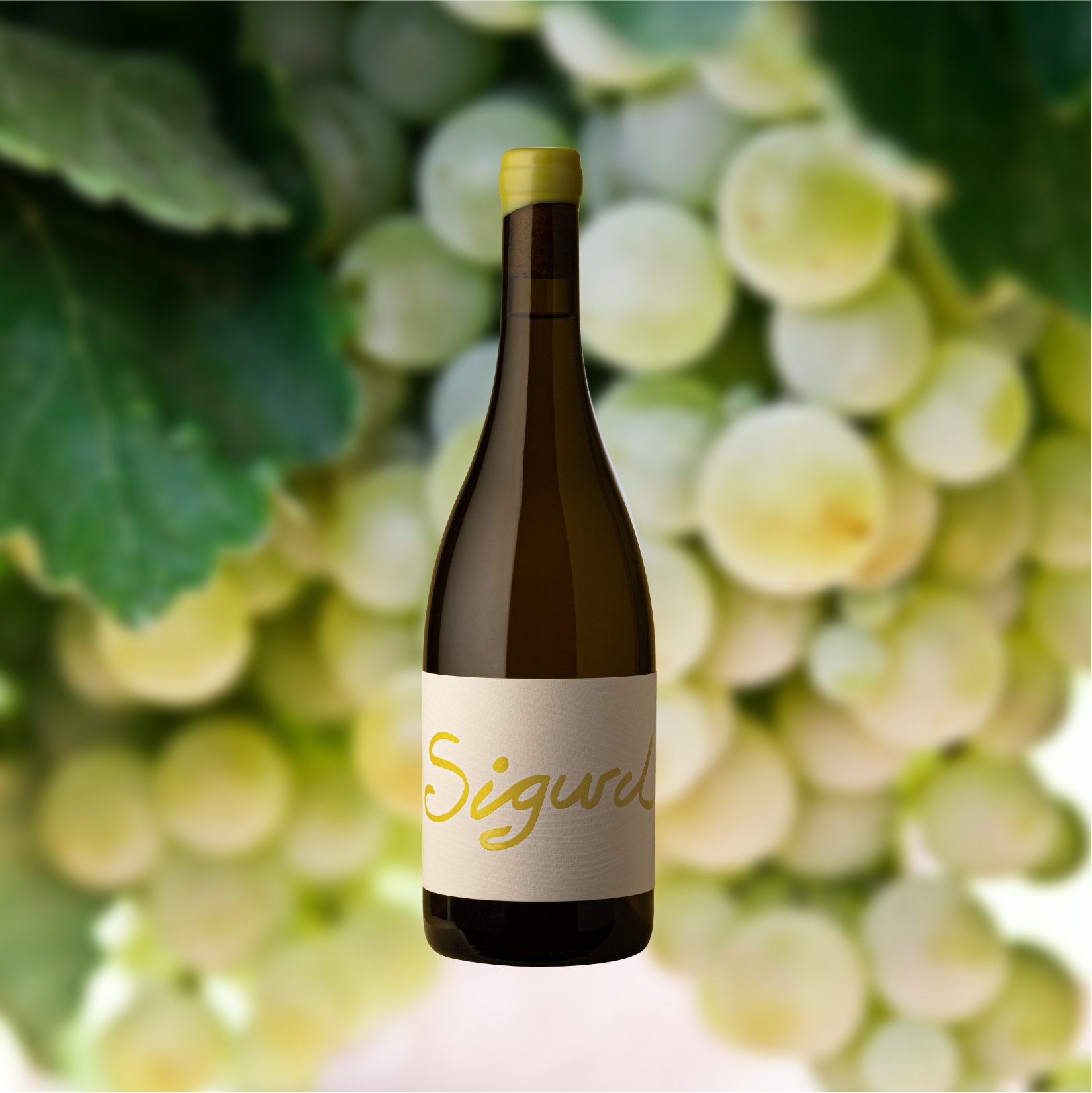 bottles of yellow Sigurd White Blend with grapes Barossa